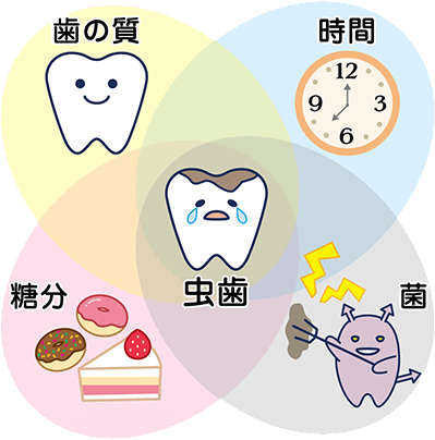 むし歯の原因